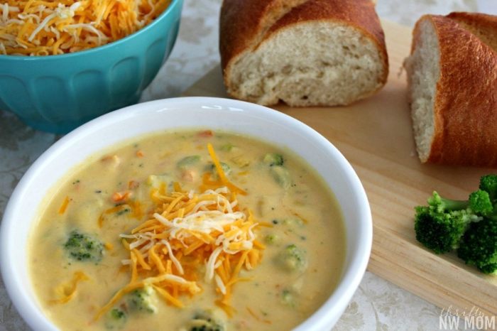 Panera bread broccoli cheese soup copycat recipe