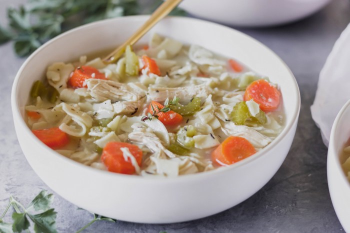 Chicken slow cooker noodle creamy soup delicious damn