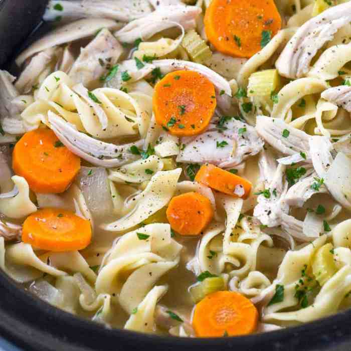 Recipe for chicken noodle soup in a slow cooker